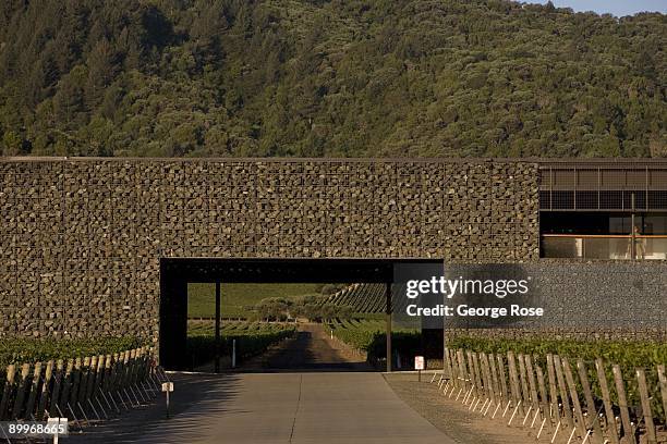 321 Dominus Stock Photos, High-Res Pictures, and Images - Getty Images