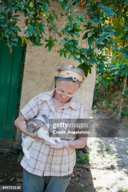 mediterranean active seniors - rabbit fever stock pictures, royalty-free photos & images