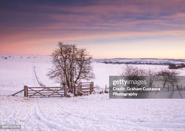 chilterns winter - ivinghoe beacon stock pictures, royalty-free photos & images