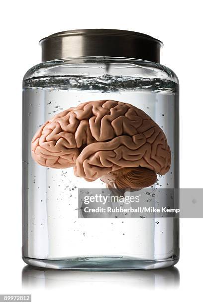 brain in a jar - brain in a jar stock pictures, royalty-free photos & images