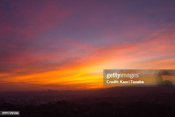 cityscape in los angeles - griffith park stock pictures, royalty-free photos & images