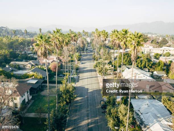 antenne des palm von bäumen gesäumten straße - beverly hills california stock-fotos und bilder