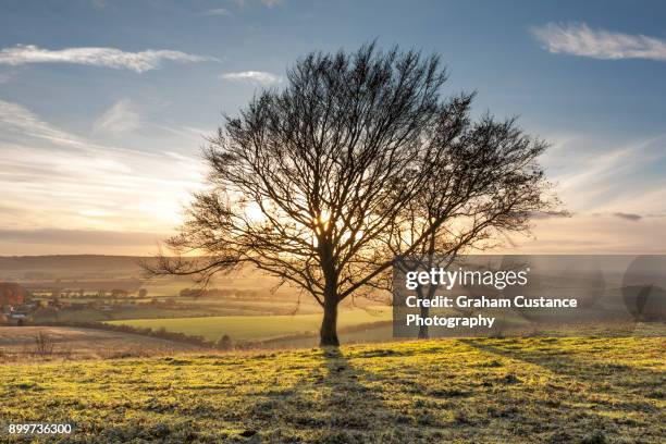 chilterns sunset - dunstable downs stock pictures, royalty-free photos & images