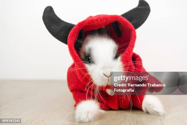 617 Funny Devil Costume Stock Photos, High-Res Pictures, and Images ...