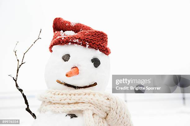 snowman - snowman stock-fotos und bilder