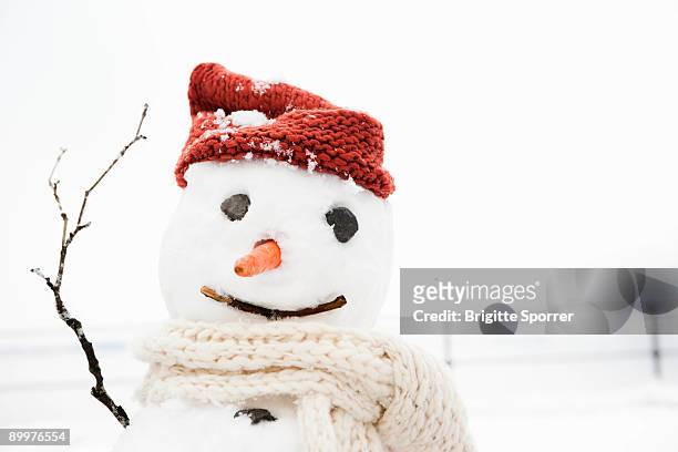 snowman - snowman - fotografias e filmes do acervo