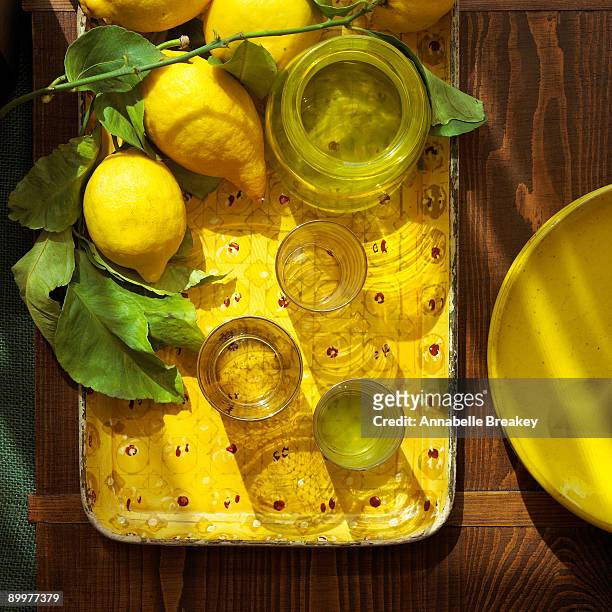 still life with lemons