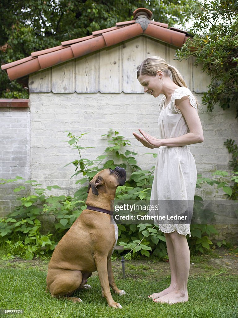 Lady with her Boxer (Canis lupus familiaris)