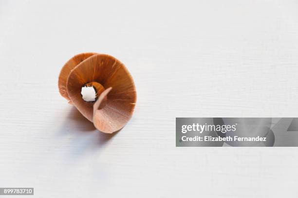 pencil shaving - shavings stock pictures, royalty-free photos & images