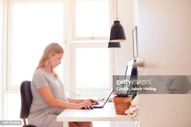 pregnant young woman at desk typing on laptop - jakob helbig fotografías e imágenes de stock