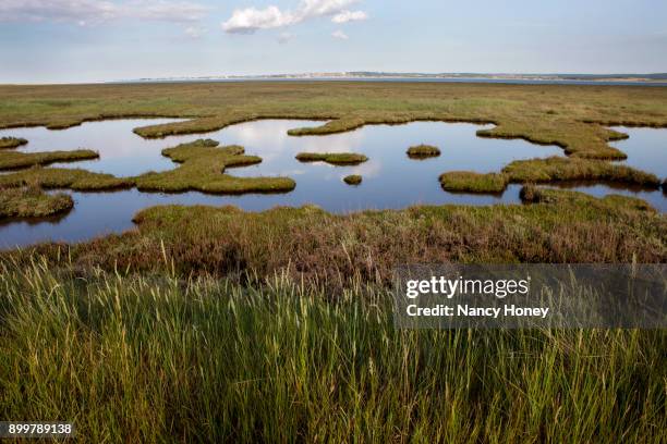 marshland, kent, united kingdom, europe - watershed 2017 stock pictures, royalty-free photos & images