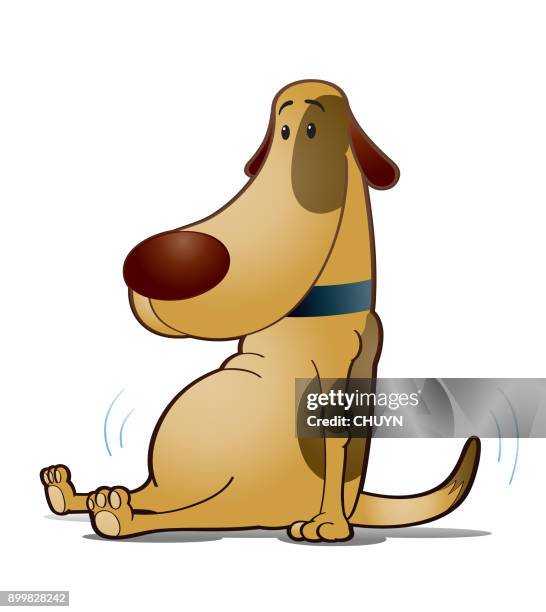 fat dog - dog stomach stock illustrations