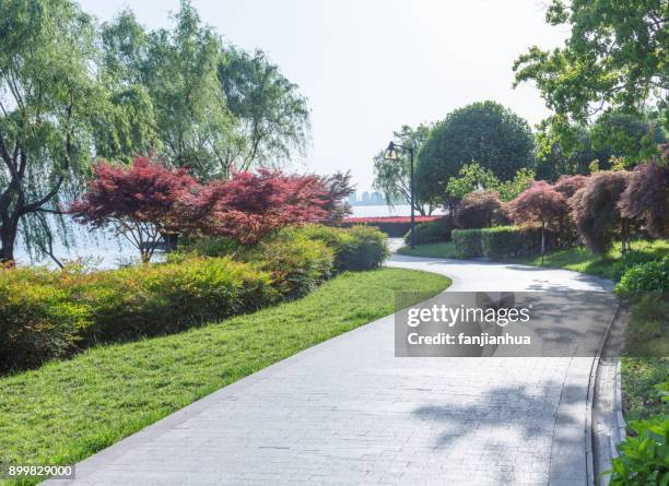 urban park scenery with curved path - brick pathway stock pictures, royalty-free photos & images