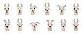 Heads of Lama with Different Emotions - Smiling, Sad, Anger, Aggression, Drowsiness, Fatigue, Malice, Surprise, Fear