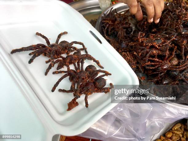 to-go container of fried tarantulas at skuon spider market, cambodia - tarantula stockfoto's en -beelden