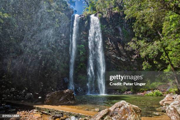 Springbrook Ranges Springbrook Park Photos and Premium High Res Pictures - Getty Images