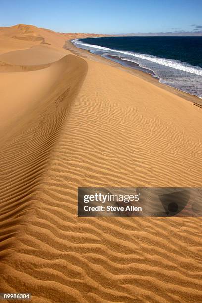 sand dunes  - atlantic ocean stock pictures, royalty-free photos & images