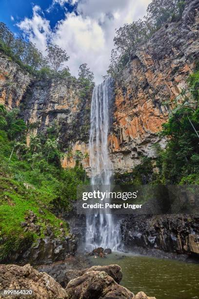 Springbrook National Park Queensland Photos and Premium High Res ...