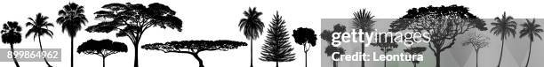 hochdetaillierte baum silhouette - christmas palm tree stock-grafiken, -clipart, -cartoons und -symbole