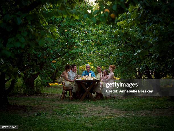 supper alfresco in orchard - distant family stock pictures, royalty-free photos & images