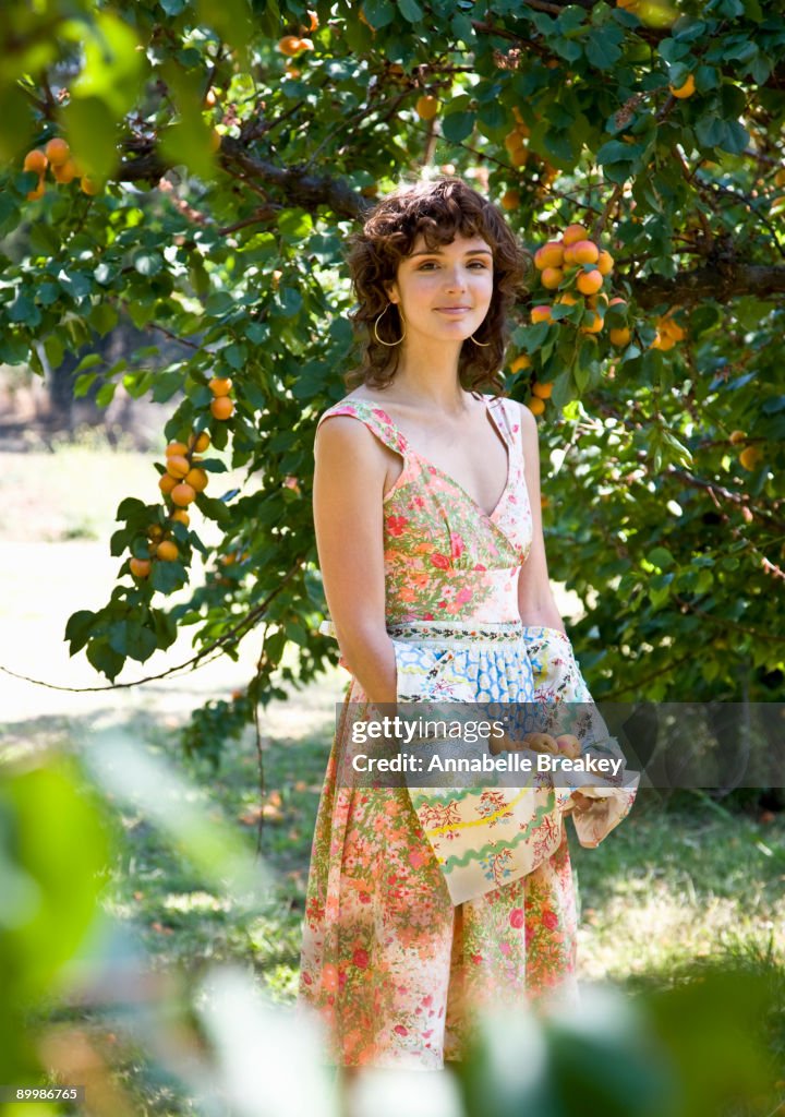 Young woman picking fresh apricots in orchard
