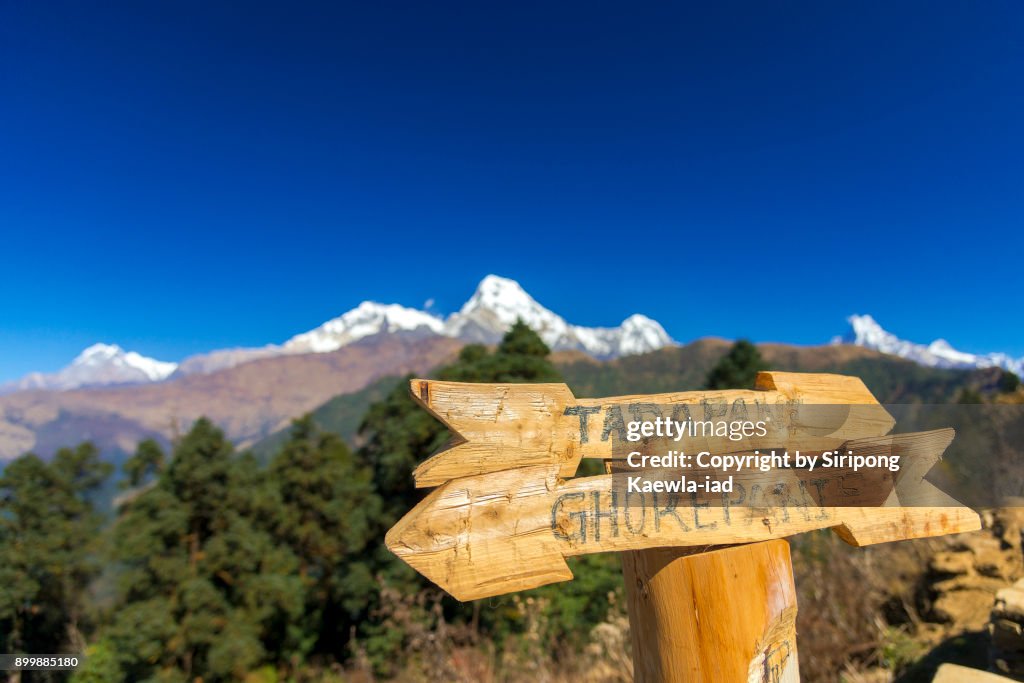 Wooden arrow shape direction sign during the trekking trail from Poon Hill to Tadapani.