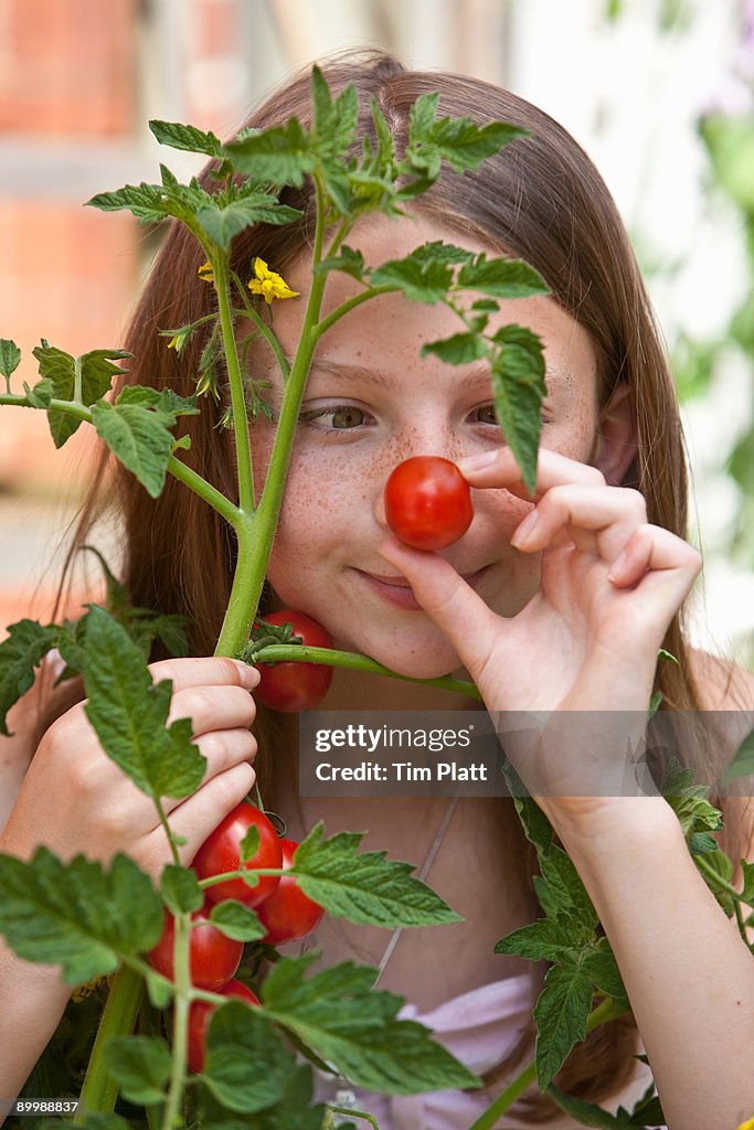 Girl picking tomatoes.