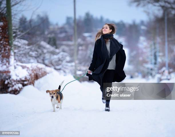 gelukkige vrouw waarop winter straat met beagle hond - happy lady walking dog stockfoto's en -beelden