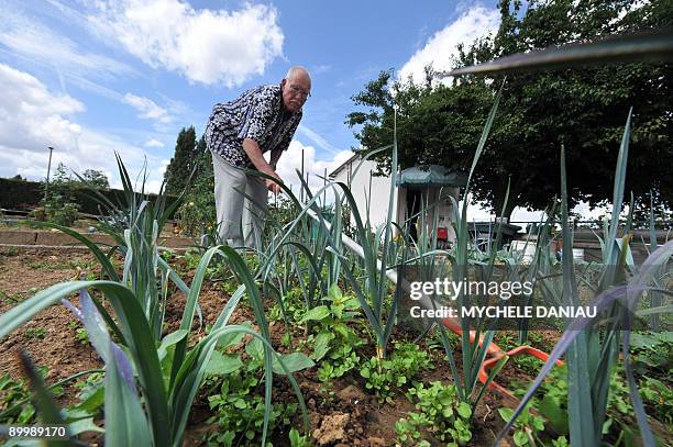 Picture taken on August 21, 2009 in Herouville-Saint-Clair, western France, shows Ali hoeing in a community garden. AFP PHOTO MYCHELE DANIAU