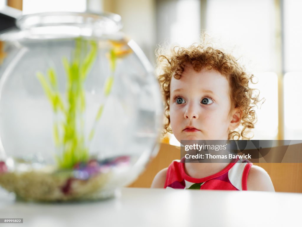 Young girl in home looking at fish in fishbowl