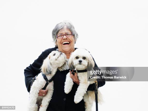 mature woman laughing holding two dogs - happy dog on white fotografías e imágenes de stock
