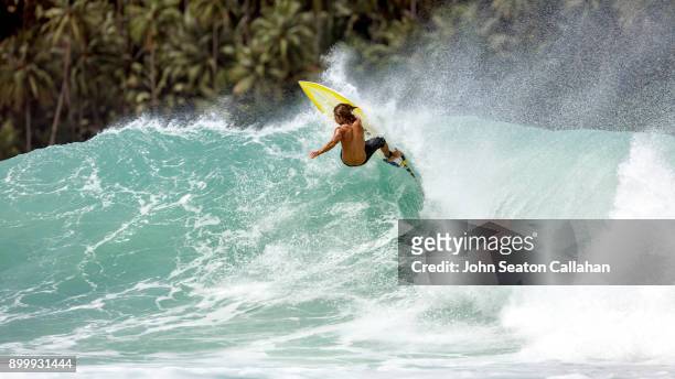 surfing in north sumatra - nias island imagens e fotografias de stock
