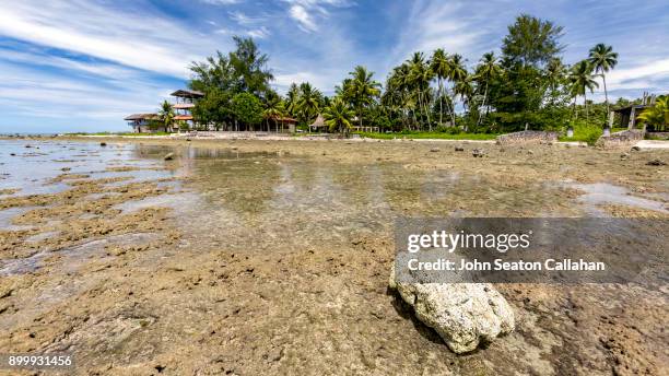 reef in north sumatra - nias island imagens e fotografias de stock