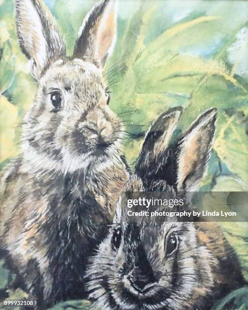 85 Linda Rabbitt Stock Photos, High-Res Pictures, and Images - Getty Images