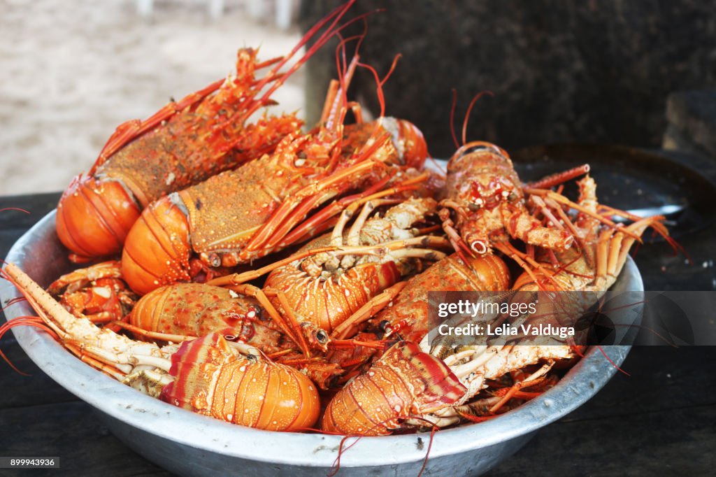 A bowl full of lobsters.