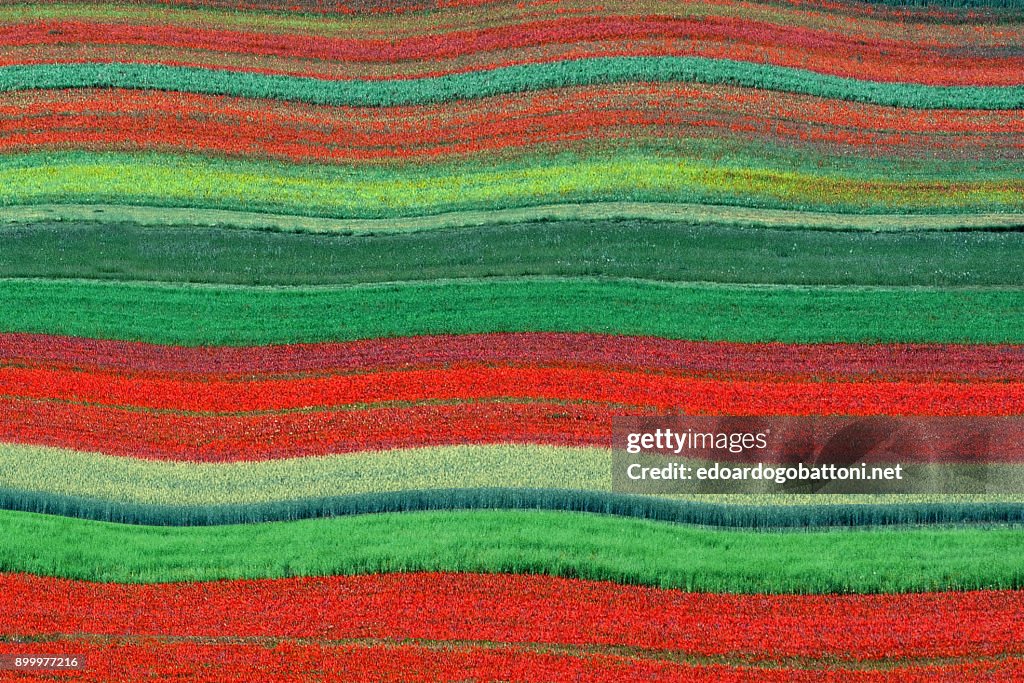 Abstract landscape 20