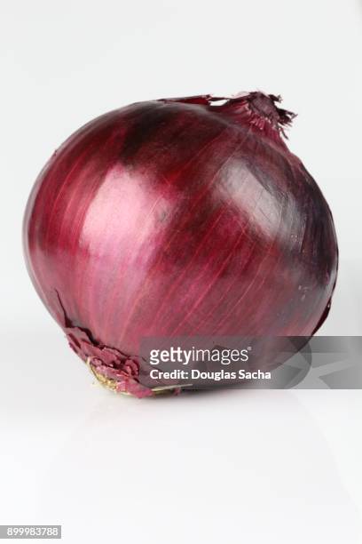 onion (allium cepa) - red onion imagens e fotografias de stock