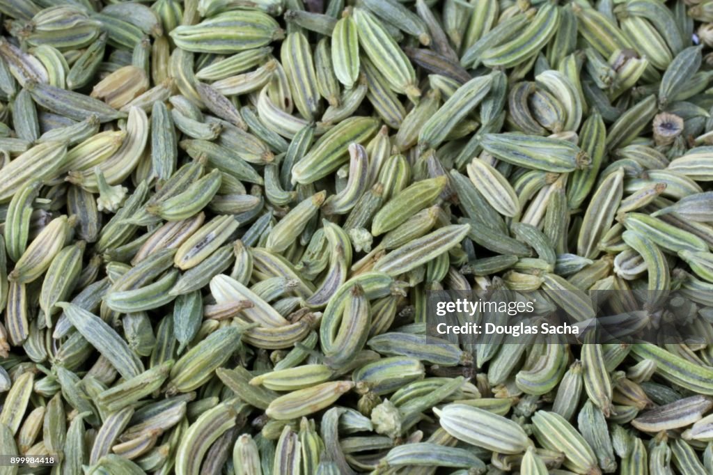 Full frame of Fennel Plant Seeds (Foeniculum vulgare)
