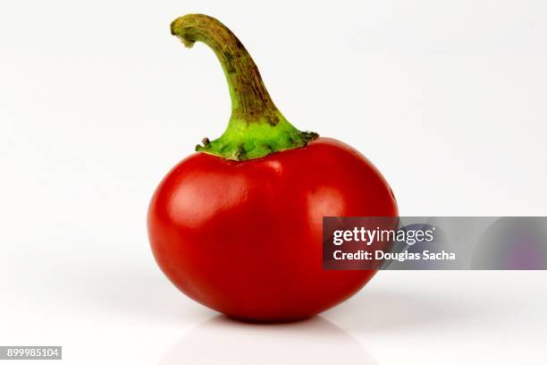 cherry bomb pepper (capsicum annuum) - bolet poivré photos et images de collection