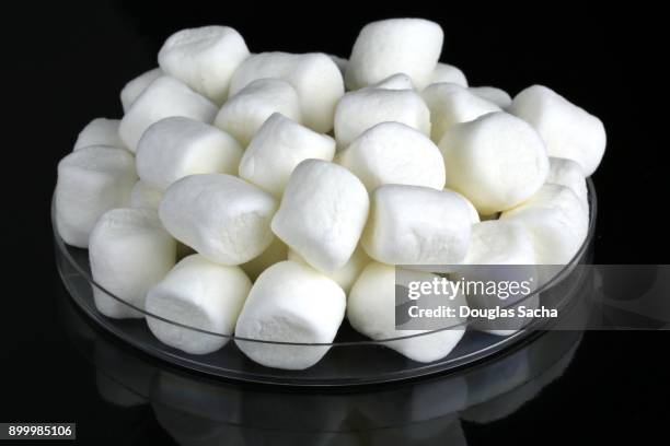 mini marshmallowson a black background (althaea officinalis) - marsh mallow plant stock pictures, royalty-free photos & images