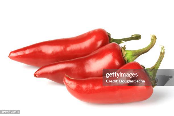 chili peppers on a white background (capsicum annuum) - bolet poivré photos et images de collection