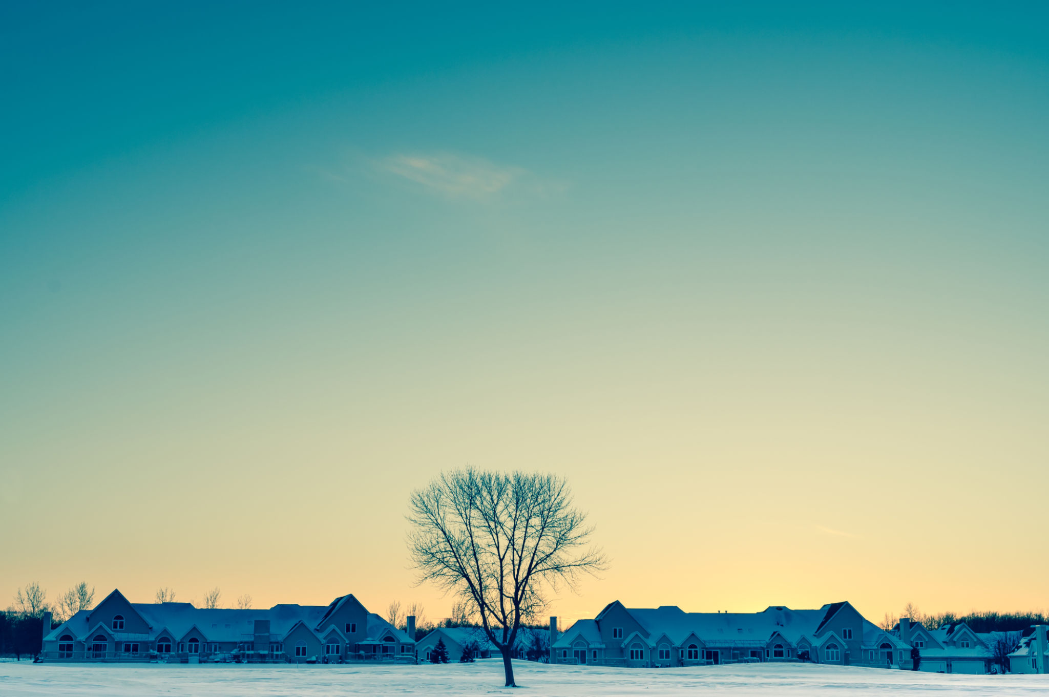 buffalo community