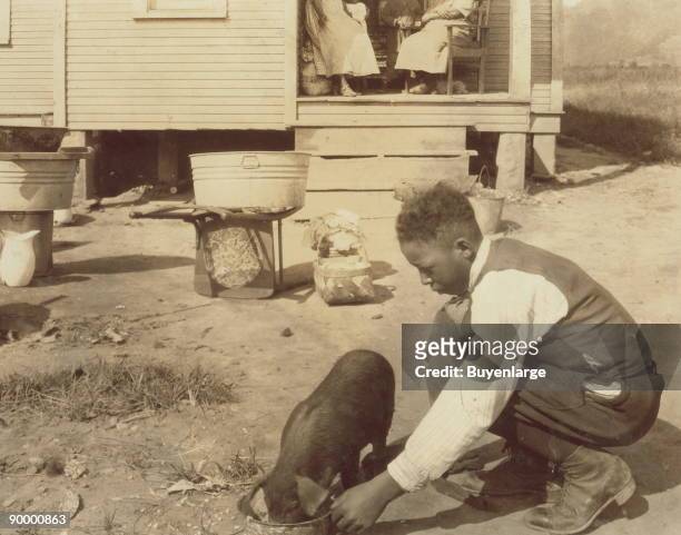 George Cox, 13 yr. Old colored boy, has just joined the 4 H Club and is raising a pig. His father is a "renter" in this poor home near the W. Va....