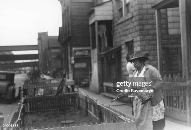 Black woman painting the fence on her "pavement garden," Black Belt, Chicago, Illinois