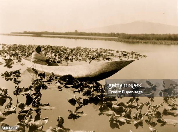 Klamath woman in a dugout canoe resting in a field of wokas, or great yellow water lilies used as food, probably in the Klamath Basin area of Oregon.