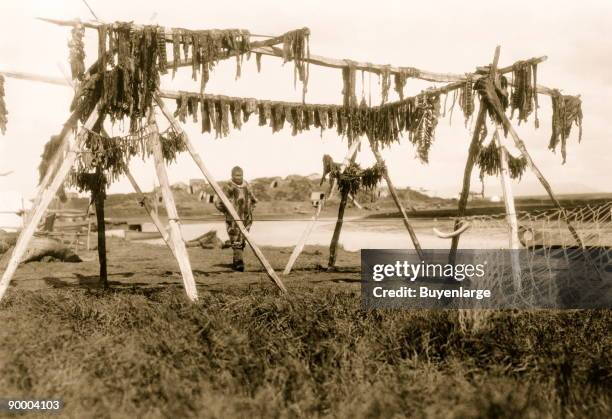 Eskimo with whale meat on poles, Hooper Bay, Alaska.