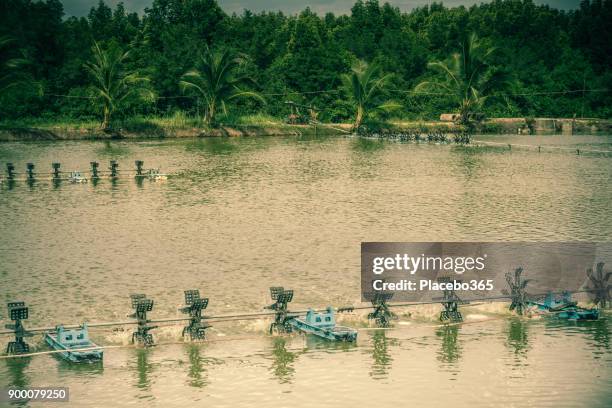 shrimp and prawn farm water aerator - coastal deprivation stock pictures, royalty-free photos & images