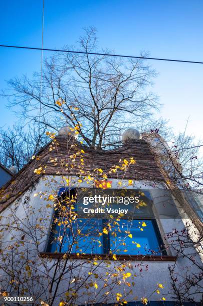 trees in the early winter at the hundertwasser house, vienna, austria - legends brunch stock pictures, royalty-free photos & images