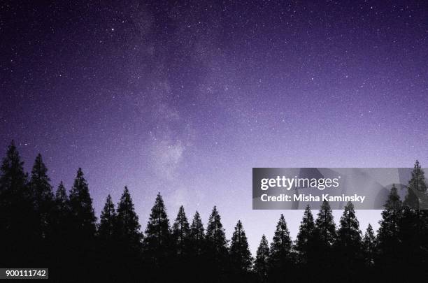 mysterious night sky above the coniferous forest - big dipper stock pictures, royalty-free photos & images