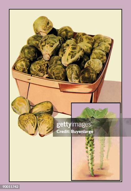 Brussel Sprouts